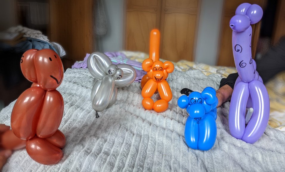 Some balloon animals