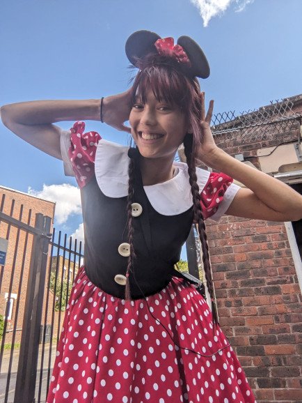 Minnie Mouse Costume for Minnie or Mickey Mouse Themed Parties