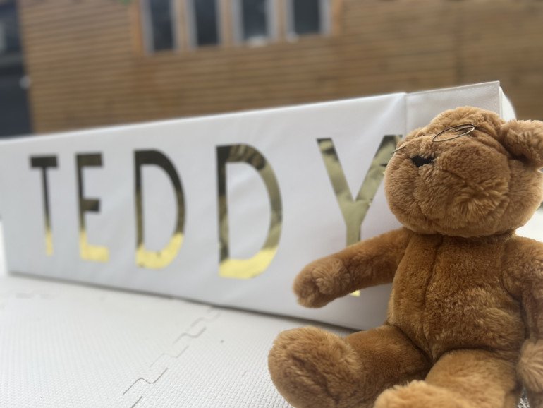 Teddy Bear Picnic