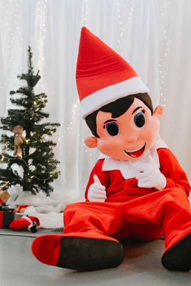 Elf of shelf door visits